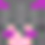 JellyBean Group For JellyBean Fans