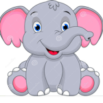 The elephant's!!!!!