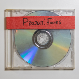 Project: Foshes