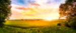 ~-Little Rays of Sunshine-~