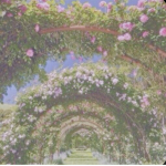 ch1ldren of the fae
