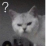 AAAAAAA?