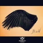 The Dark Wing Alliance