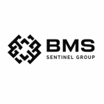BMS Sentinel Group