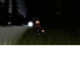 the forest...