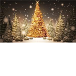 Xtreme Christmas Fans