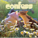 confess