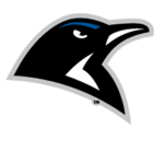 The Bak Penguins