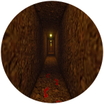 What is this tunnel for?