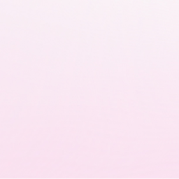 🌸