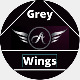 Grey Wings Air Force Academy