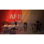 The After life!