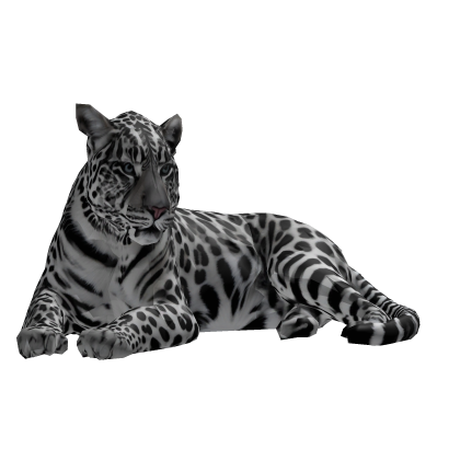 Snow Leopard Tiger Pet