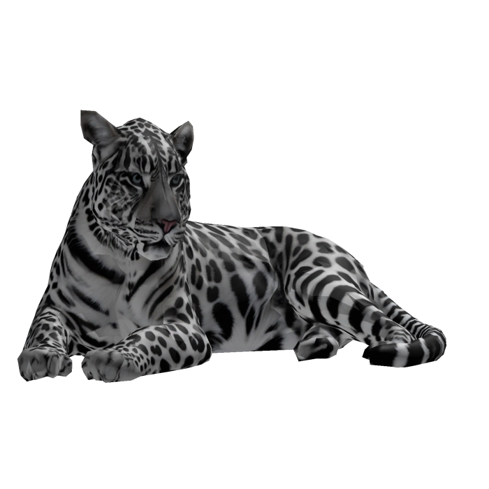 Snow Leopard Tiger Pet