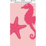 Seahorse starfish squad