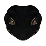Black Lizard Studios
