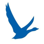 Blue Goose Studios