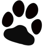 Mighty Paws United