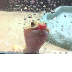Geckos are so cute