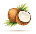 Coconut Gamez