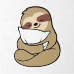 The tired sloths