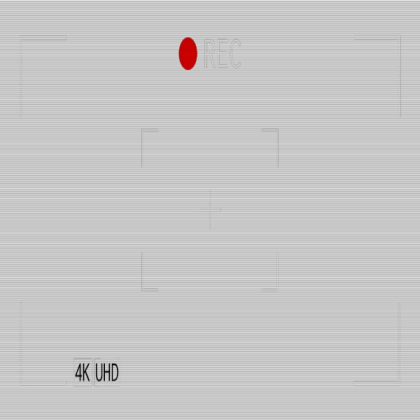 Camera Hud (ON)