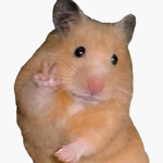 hamster bopoi