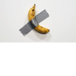 Team Banana UnU