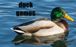 duck games studio (polska grupa)