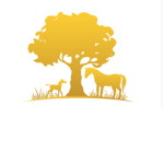 | + Oak Tree Stables + |