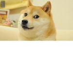 Doge_Army_HQ