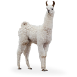 Llama Squad Hangout