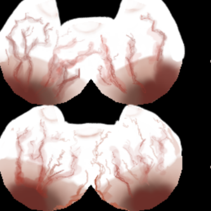 SCP-096 Eyes Roblox decal