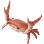 Crabs United!!!!!!