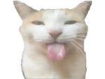 aaraw