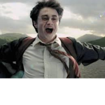 Harry Potter fans :) (: