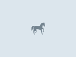 Velvet Horse Club