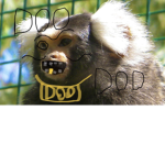 Monke doo
