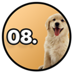 08: Cute Pets