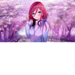 XD EEE