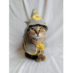le wizard cat fan group