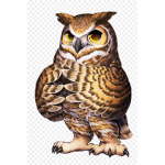 Owl City!