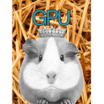 GPU