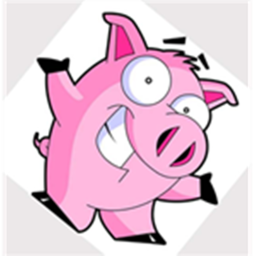 Pig hangout