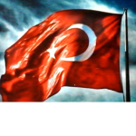 EEEEEEEEEEEEE ##########