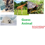 Animal Guess