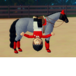 Horse club <3
