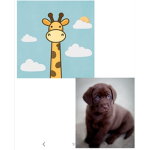 Choco and spots group