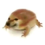 noob群組