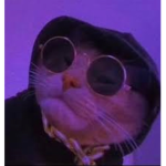Gangster cool cats
